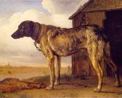 Hound - 派勒斯·波特